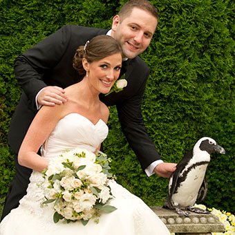 Bride and Groom posing with penguin statue outside.